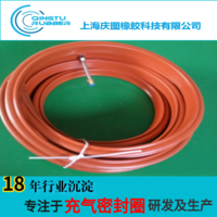 大口径灭菌柜充气密封圈