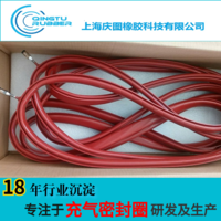 灭菌柜充气密封圈